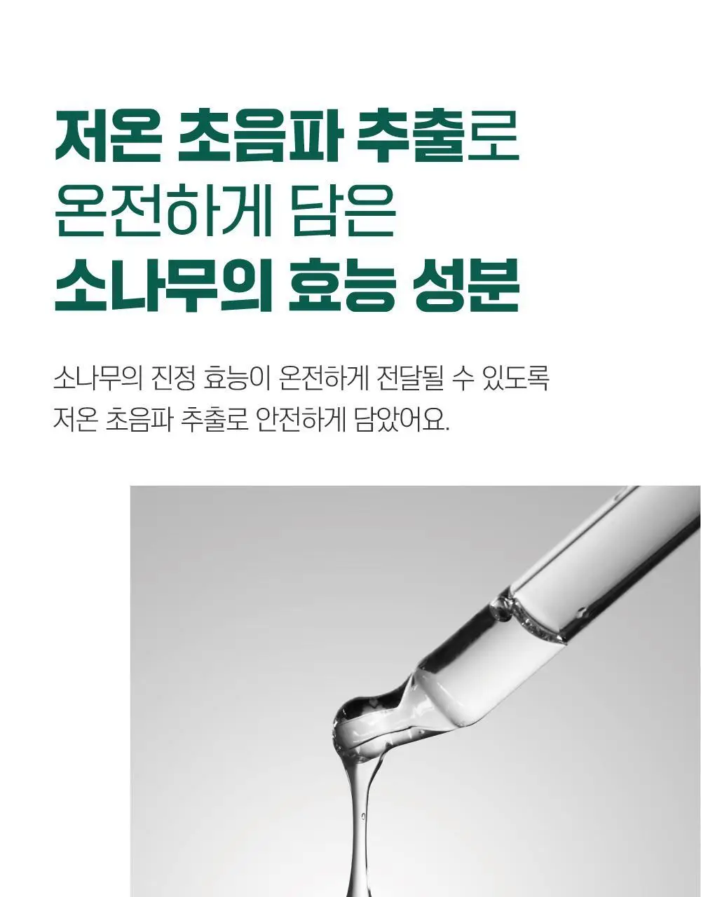 [민감진정] 라운드랩 소나무 진정 시카 토너 250ml 상세페이지 8